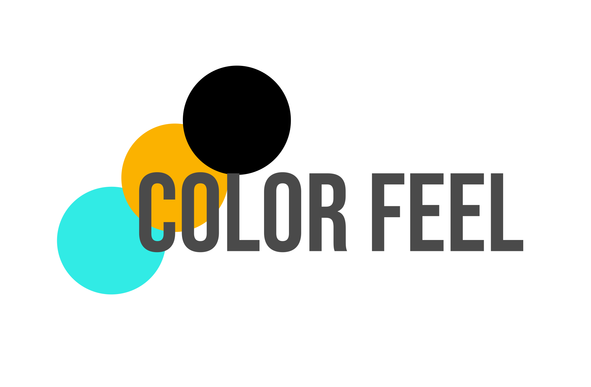 Color Feel Media